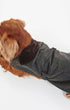 Barbour Dogs Tartan Waxed Dog Coat