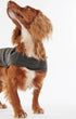 Barbour Dogs Tartan Waxed Dog Coat