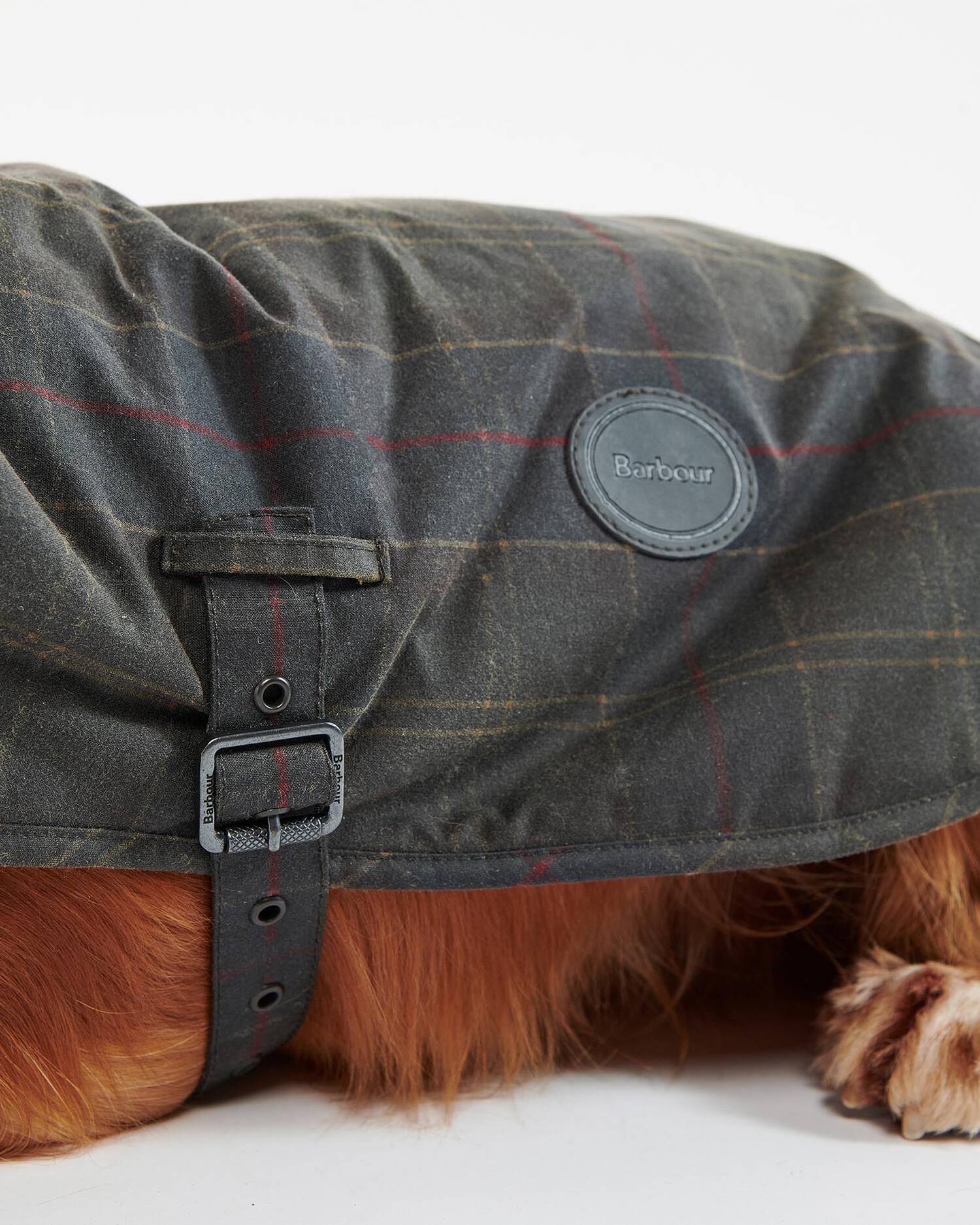 Barbour Dogs Tartan Waxed Dog Coat
