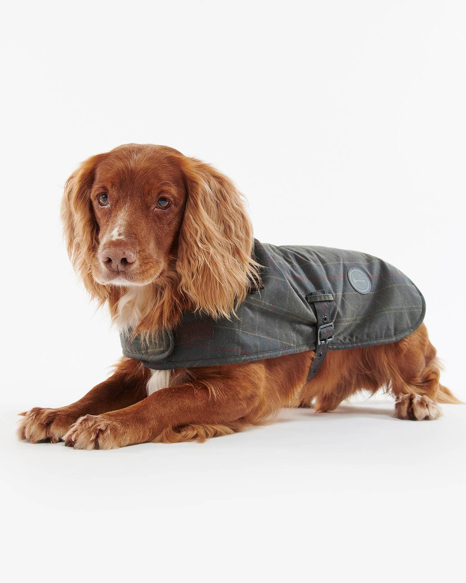 Barbour Dogs Tartan Waxed Dog Coat