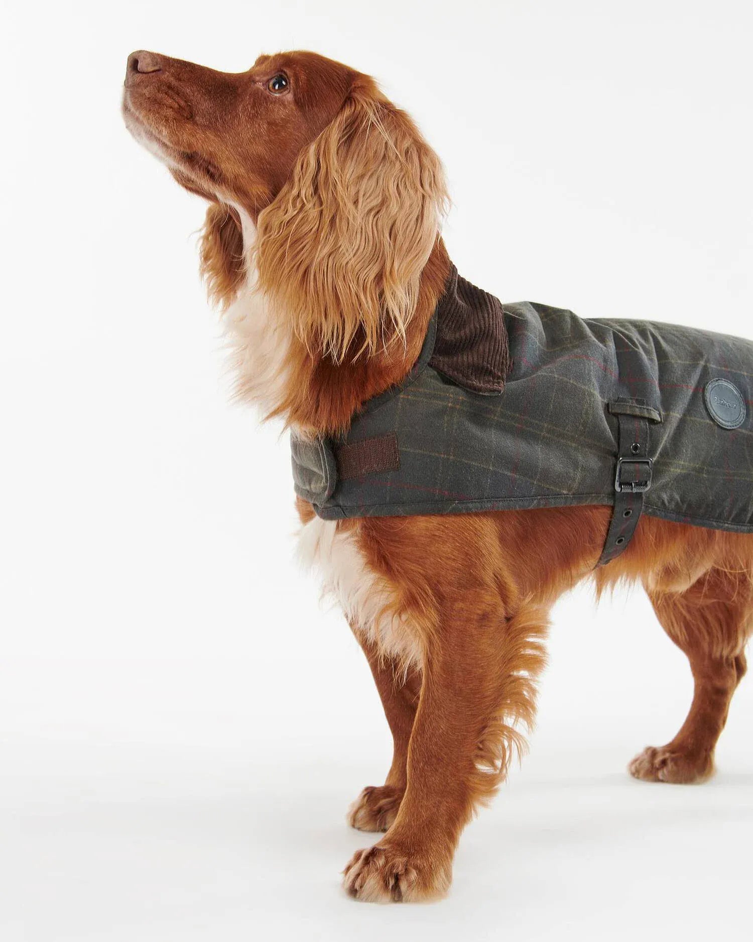 Barbour Dogs Tartan Waxed Dog Coat