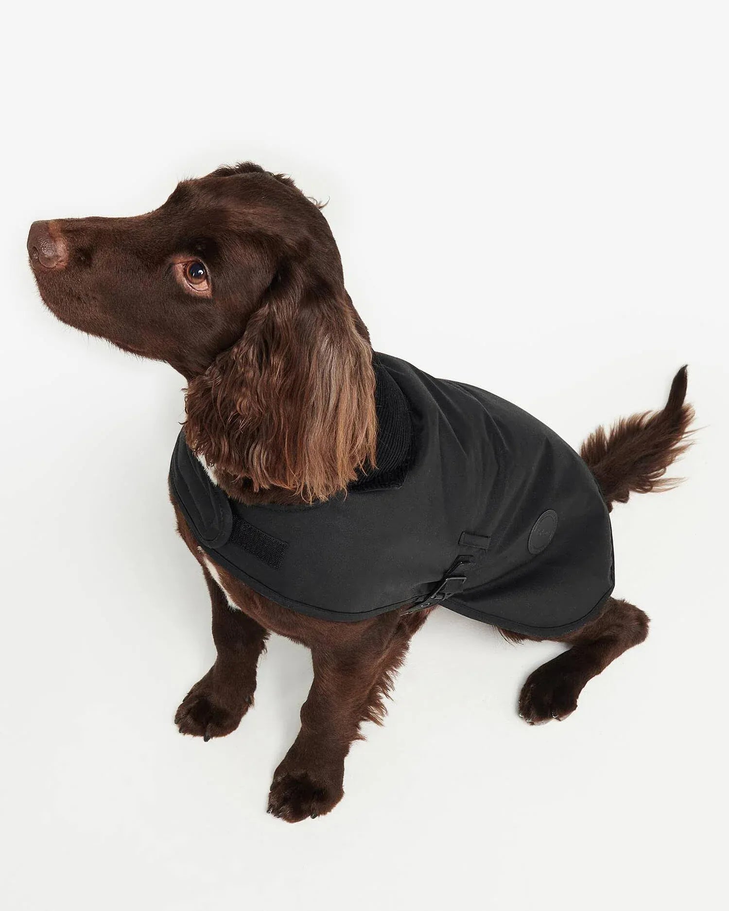 Barbour Dogs Waxed Dog Coat