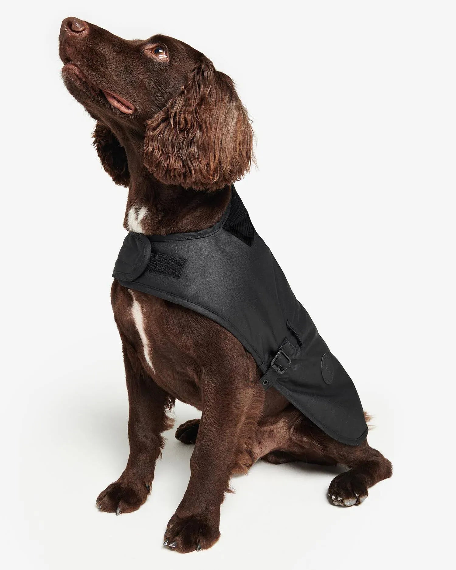 Barbour Dogs Waxed Dog Coat