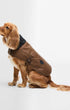 Barbour Dogs Waxed Dog Coat in Tan