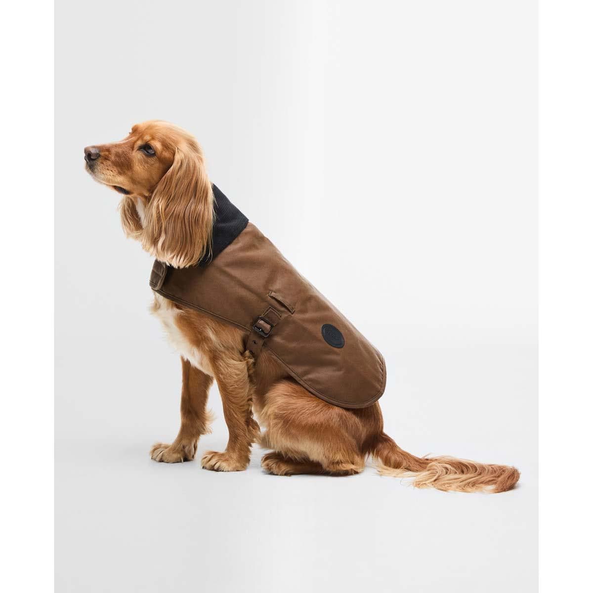 Barbour Dogs Waxed Dog Coat in Tan