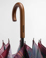 Barbour Home Tartan Walker Umbrella in Winterberry Tartan