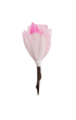 Brackish Lapel Pin Bardstown Pin