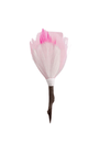 Brackish Lapel Pin Bardstown Pin