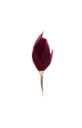 Brackish Lapel Pin Match Me Lapel Pin