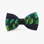 Brackish Neckwear Fairbanks Bow Tie