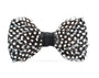Brackish Neckwear Gatsby Bow Tie