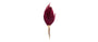 Brackish Pocket Square Match Me Lapel Pin