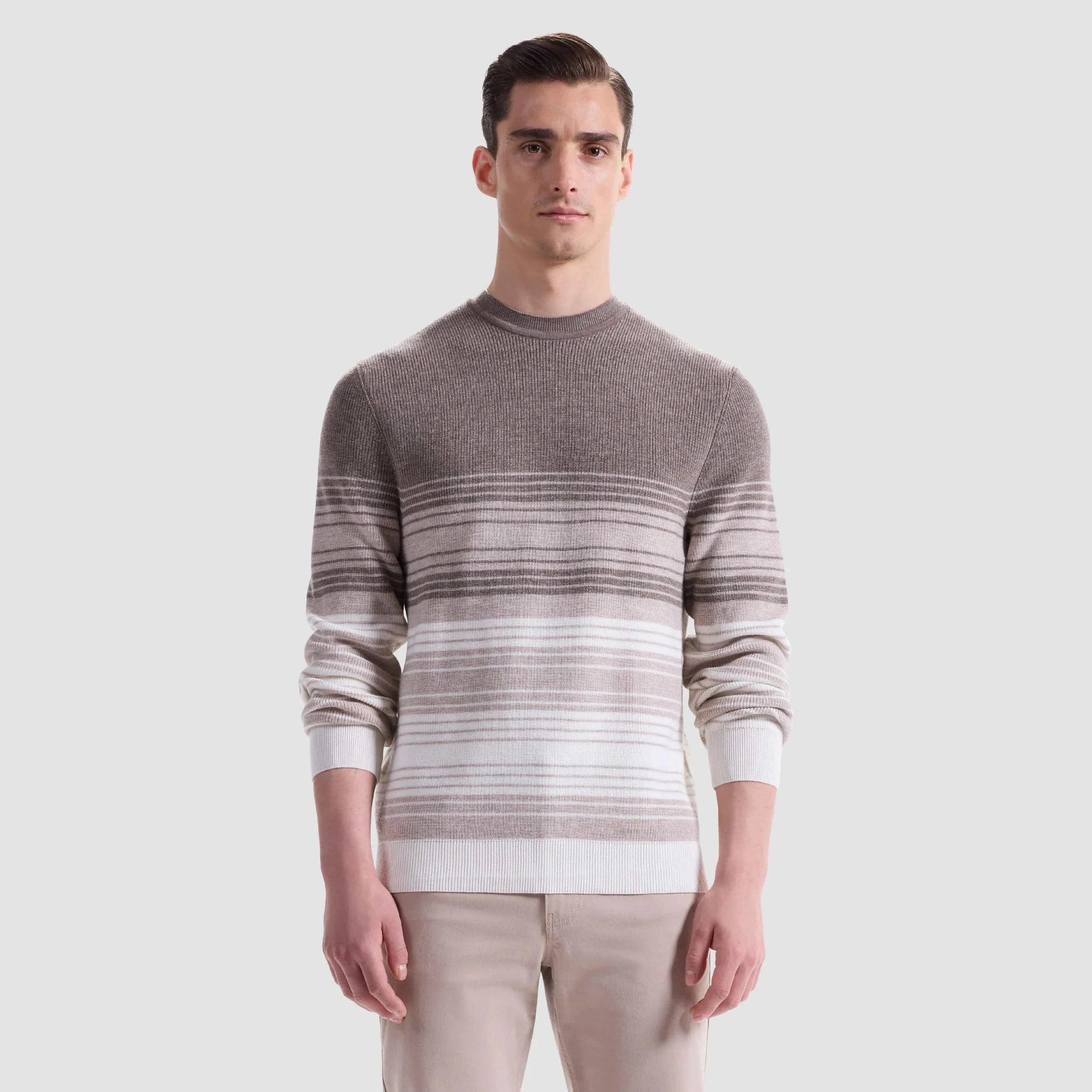 Bugatchi Sweaters Walnut / S Ombre Stripe Crewneck Sweater
