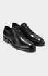 Cole Haan Shoes Ledley Grand Cap Toe Oxford