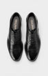 Cole Haan Shoes Ledley Grand Cap Toe Oxford