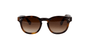 EPOS Sunglasses Brooklyn in Tortoise