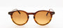 EPOS Sunglasses Castore in Honey Tortoise
