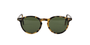 EPOS Sunglasses Castore in Tortoise