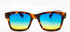 EPOS Sunglasses Erato 2 in Tortoise