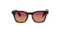 EPOS Sunglasses Zeto in Matte Tortoise