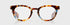 Eye Bobs Readers Total Wit in Powder Blue and Coffee Tortoise (1.50)