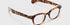 Eye Bobs Readers Total Wit in Powder Blue and Coffee Tortoise (1.75)