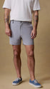 Faherty Shorts All Day™ Short (5") in Ice Grey