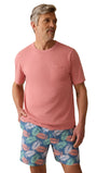 Faherty T-Shirts Sunwashed Pocket Tee - Faded Flag