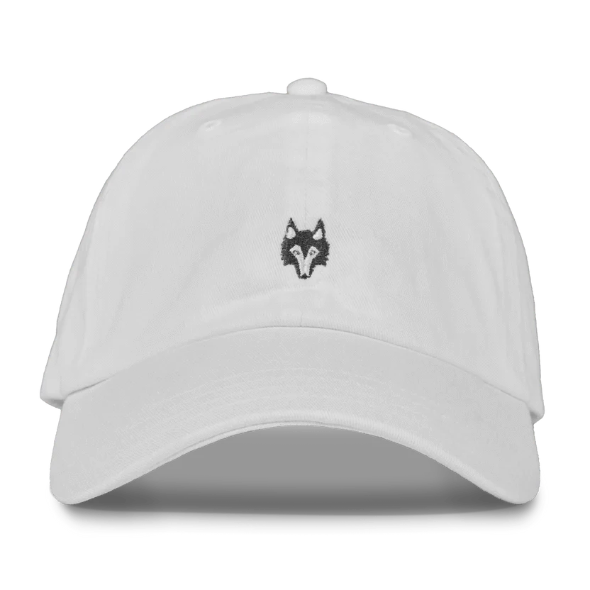 Greyson Clothiers Hats Icon Dad Hat - Arctic