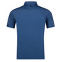 Harlestons Polos The H Script