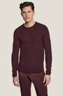 Jack Victor Limited Sweaters Wine / M Belvedere Crew Neck