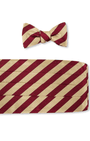 R. Hanauer, Inc. Cummerbund Bar Stripes Cummerbund Set