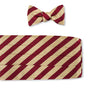 R. Hanauer, Inc. Cummerbund Gold/Maroon Bar Stripes Cummerbund Set