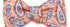 R. Hanauer, Inc. Ties Apricot Bernadette Pine Bow Tie
