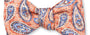 R. Hanauer, Inc. Ties Apricot Bernadette Pine Bow Tie