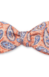 R. Hanauer, Inc. Ties Apricot Bernadette Pine Bow Tie