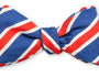 R. Hanauer, Inc. Ties Blue/Coral Clearwood Stripes Bow Tie