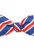 R. Hanauer, Inc. Ties BLUE CORAL / OS Blue/Coral Clearwood Stripes Bow Tie