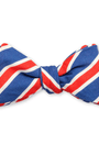R. Hanauer, Inc. Ties BLUE CORAL / OS Blue/Coral Clearwood Stripes Bow Tie