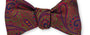 R. Hanauer, Inc. Ties Green Chastain Paisley Bow Tie
