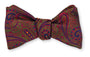 R. Hanauer, Inc. Ties Green Chastain Paisley Bow Tie