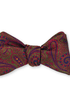 R. Hanauer, Inc. Ties Green Chastain Paisley Bow Tie