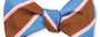R. Hanauer, Inc. Ties MAHOGANY / OS Mahogany Hubbard Stripes Bow Tie