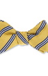 R. Hanauer, Inc. Ties N Gold/Navy Brooks Stripes Bow Tie