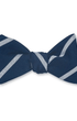 R. Hanauer, Inc. Ties NAVY / OS Navy/Silver Buckingham Striped Bow Tie