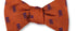 R. Hanauer, Inc. Ties Orange/Purple Jolly Rogers Skull Bow Tie