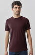 Robert Barakett T-Shirts The Barakett Tee in Deep Bordeaux