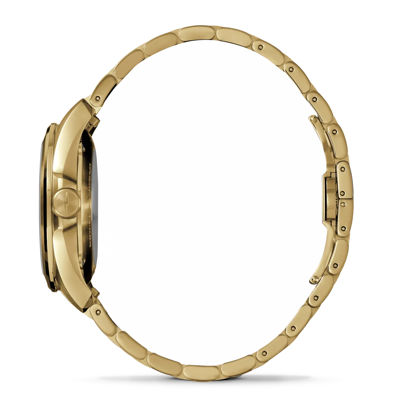 Shinola Watches Circadian Monster 36mm Automatic Watch