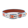 Smathers & Branson Dogs MULTI / S/M Sedona Dog Collar