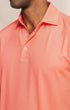 Southern Tide Polos Driver Getting Ziggy With It Printed Polo